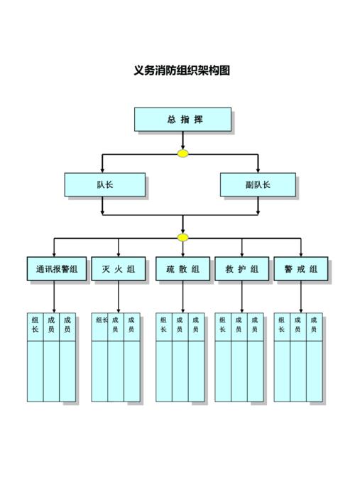 义务消防队组织架构(模板)12月21日