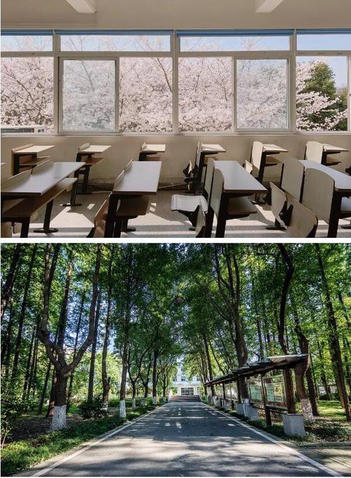 苏州农业职业技术学院2019年江苏省招生简章公布