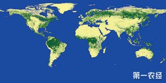 全球绿化面积较20年前增加5% "中国绿"受全球网友赞誉