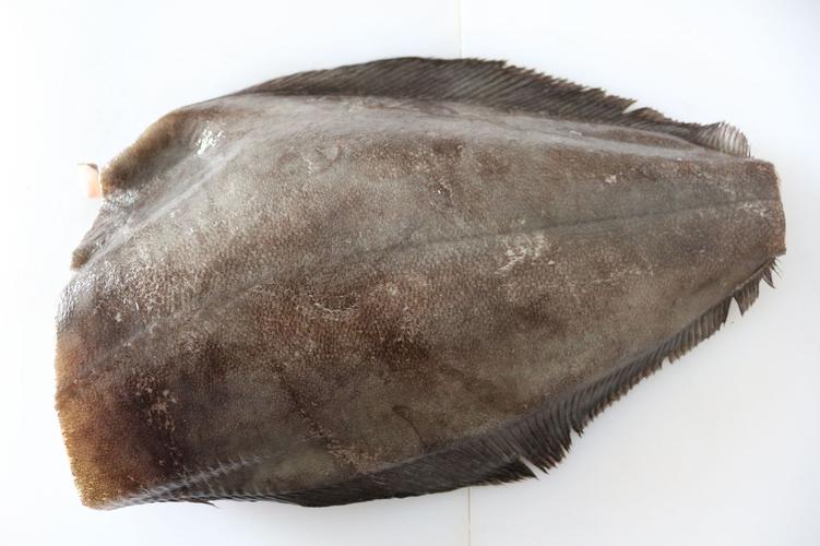 格陵兰比目庸鲽鱼切片 小包装定重真空 海鲜餐饮批发