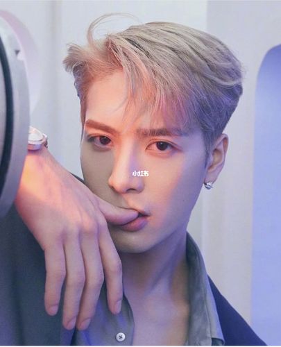 王嘉尔 一个从漫画里走出来的男人_王嘉尔_漫画_发型