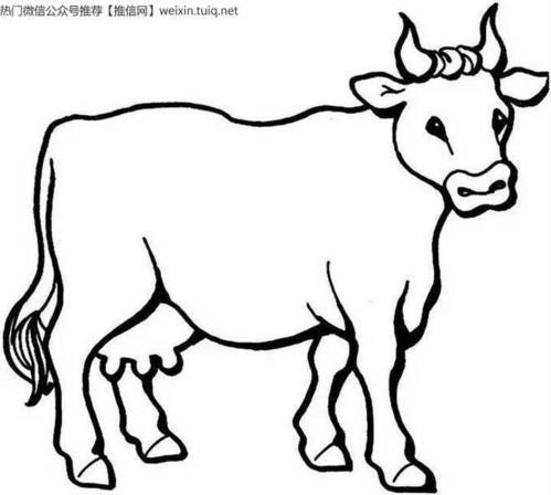 有没有简笔画的牛