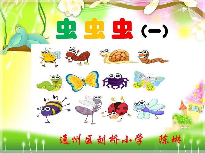 虫虫虫ppt