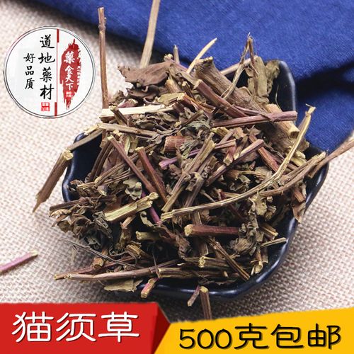 云南猫须草图片