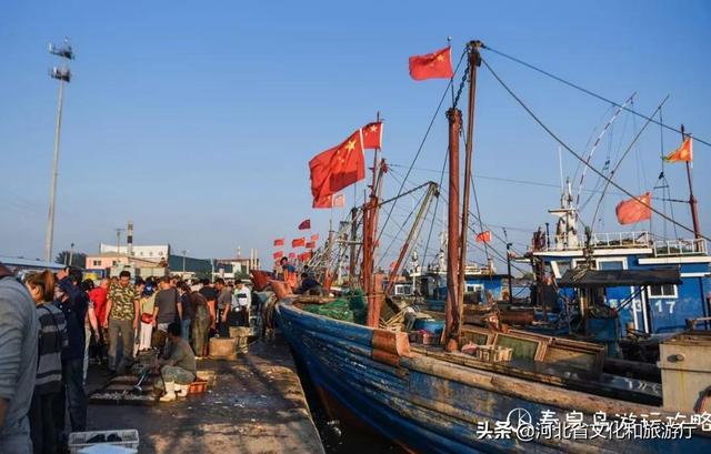 沟渠寨渔港码头,是一个承载了许多秦皇岛人记忆的地方.