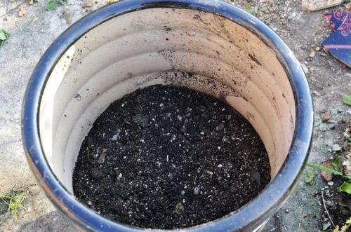 1,煤渣养花小技巧