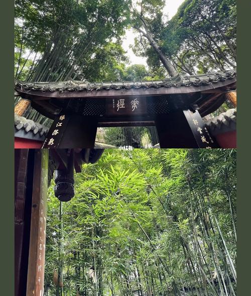 成都之旅——杜甫草堂篇_景点_杜甫草堂_出行_人文风光展示_旅行混剪