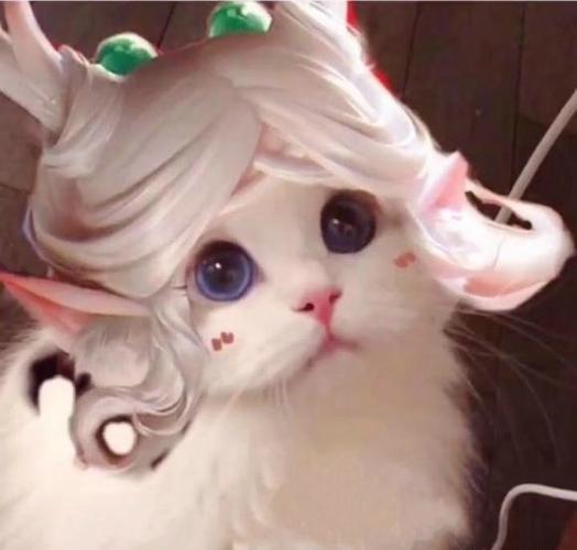 王者荣耀:猫咪头像瑶高清图