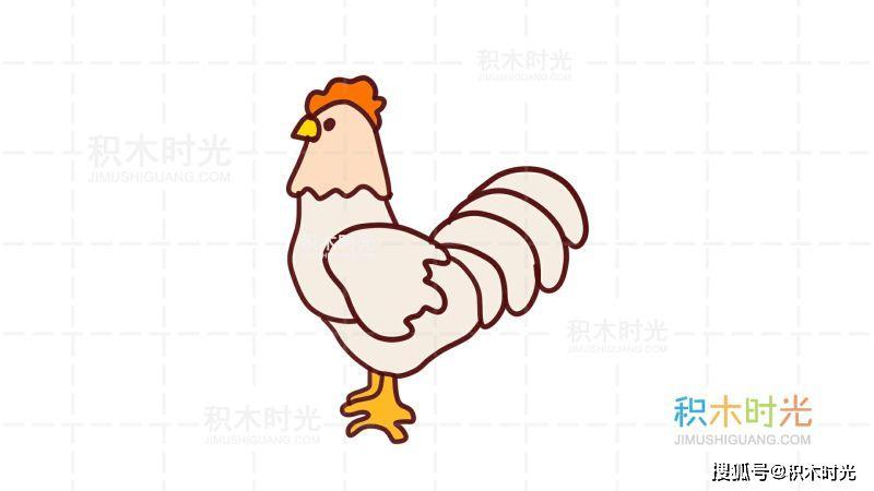 原创鸡简笔画教程画鸡简笔画