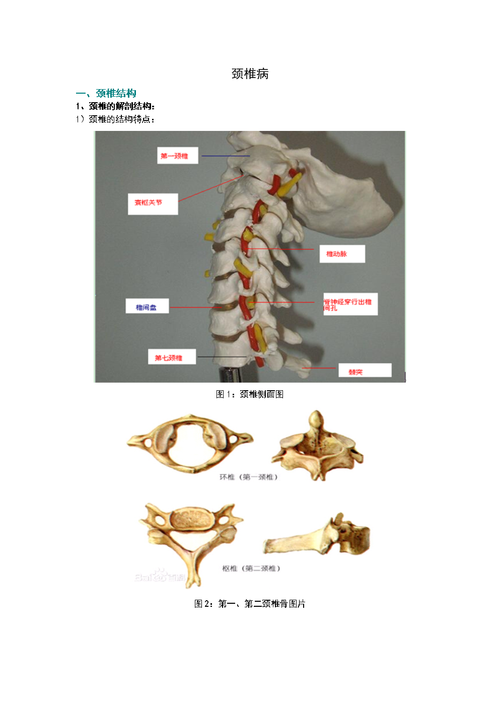 颈椎病内容整理多图doc14页