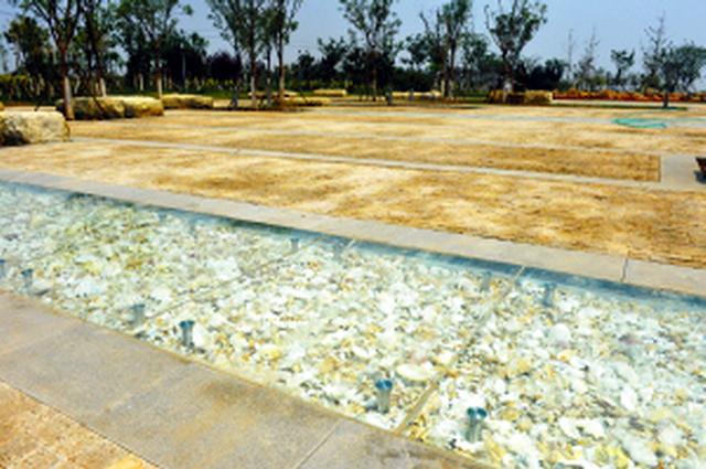 【简讯】天津滨海贝壳堤湿地公园日前开放,七里海国家