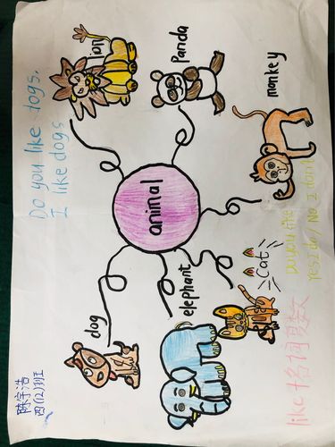 lovely animals!(陈浩宇)