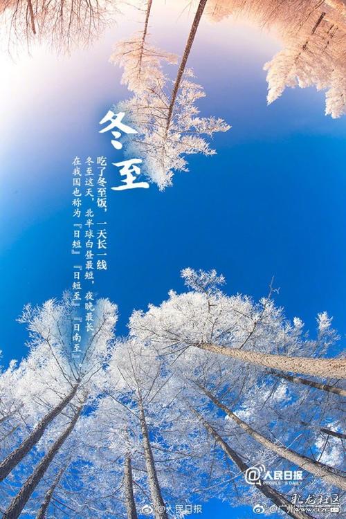 从小耳熟能详的,课本里的《九九歌》,也与冬至有关.
