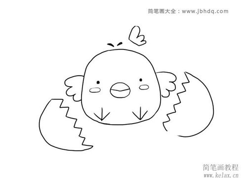 破壳的小鸡简笔画图片