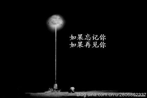 不知是彷徨,还是迷茫,又或什么都不是?