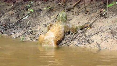 传说中的水鬼被人抓住,见过水鬼真容后,网友:大开眼界