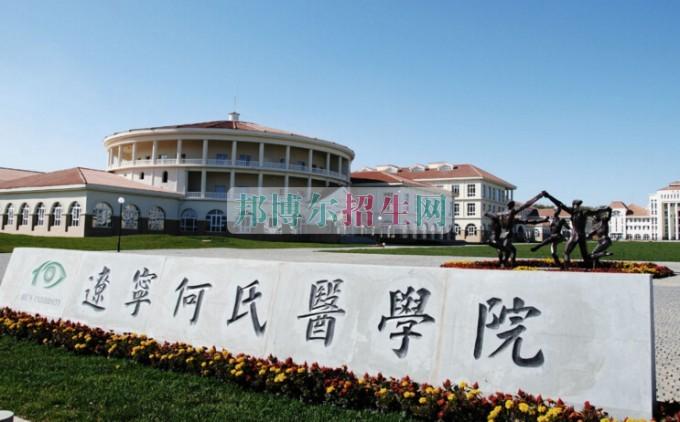 辽宁何氏医学院有哪些专业