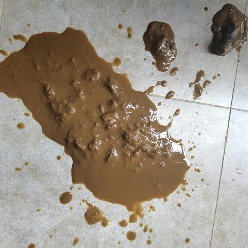 【讨论】救命我的狗又拉稀了!有图!有图!有图