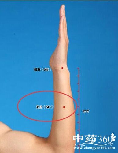 支正穴位位置图_按摩支正穴的作用与好处-胳膊手部