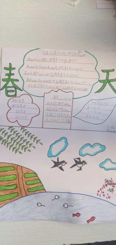 "春之声"主题手抄报展——2018级1班