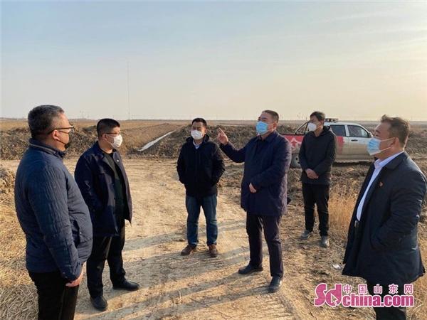 在马山子镇蔡家庄子村,张恩传一行实地查看了高标准农田建设现场,多