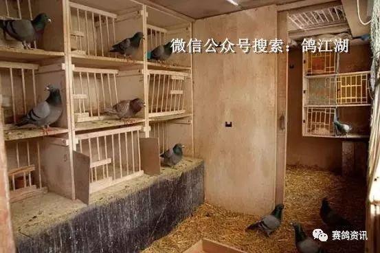 看欧洲鸽棚的设计,你就知道为什么土豪不惜一掷千金的
