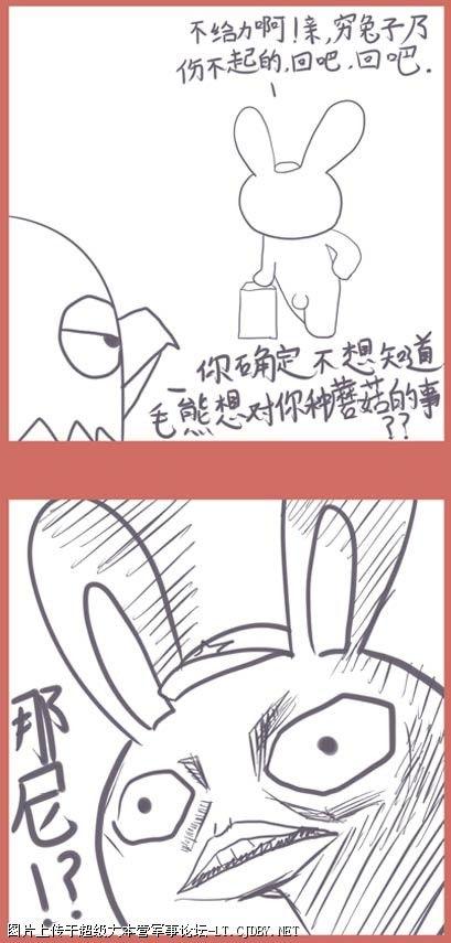 那年那兔那些事儿-花瓣网|陪你做生活的设计师