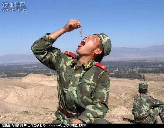 [原创]中国大兵把活蜥蜴当零食吃!pk东南亚吃蜥蜴女兵和美国大兵!