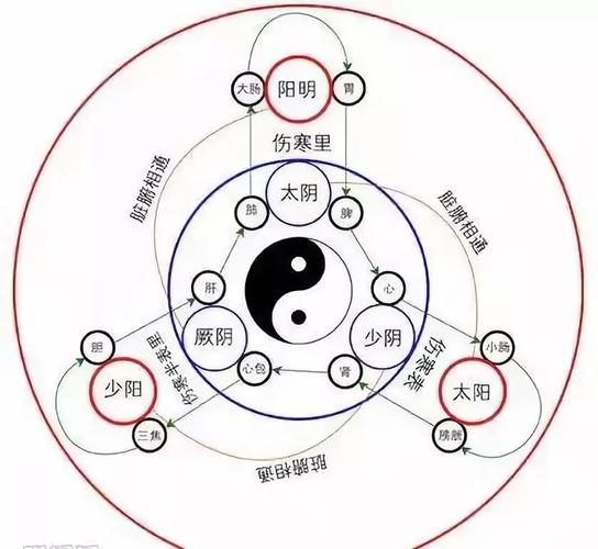 人体精气神的开关特效穴开九窍打开关