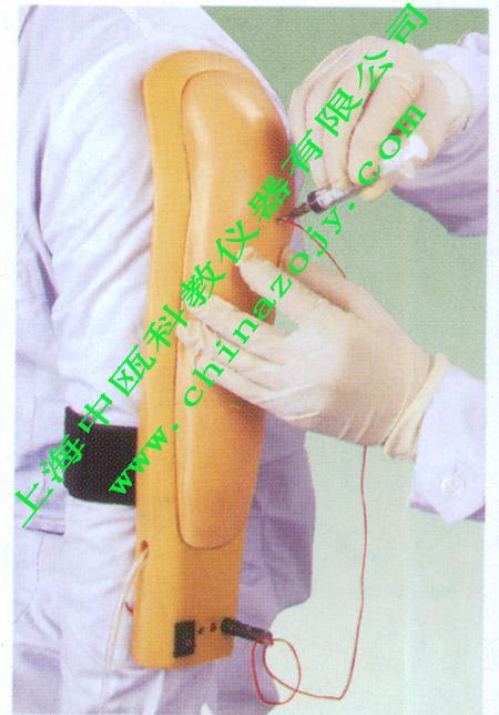 hs20e型 高级电子上臂肌肉注射训练模型