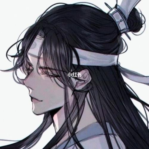 魔道祖师/蓝忘机头像_魔道祖师_头像_魔道祖师蓝忘机