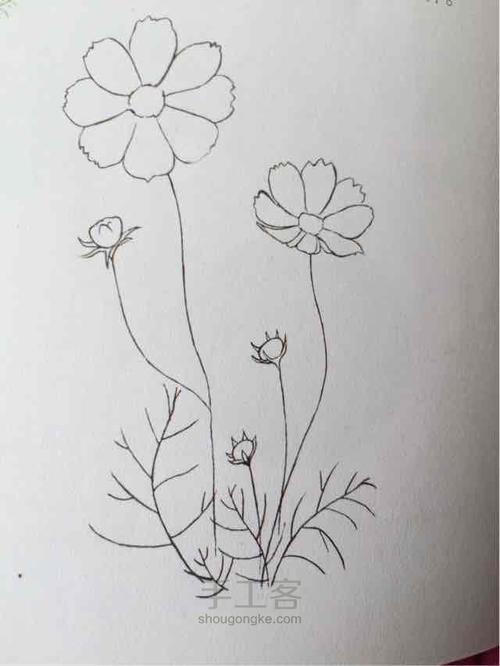 手绘动漫学习教程