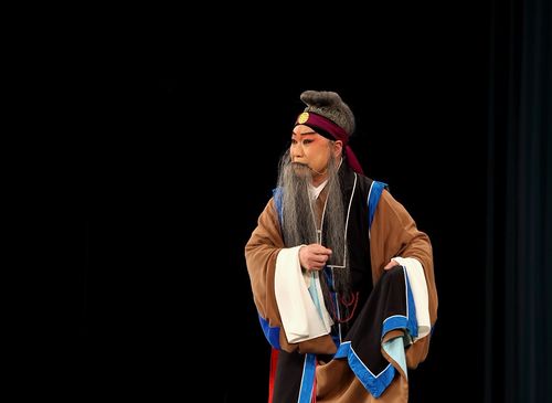 标题:经典京剧剧目『范进中举』