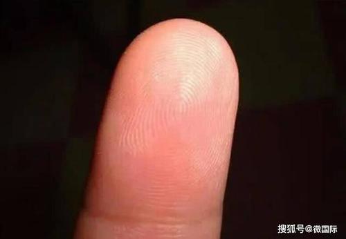 那么,这些手指上的螺纹是怎么形成的呢?