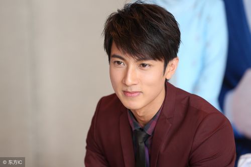 文莱演员歌手吴尊