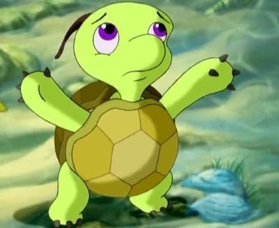 乌龟贝贝历险记