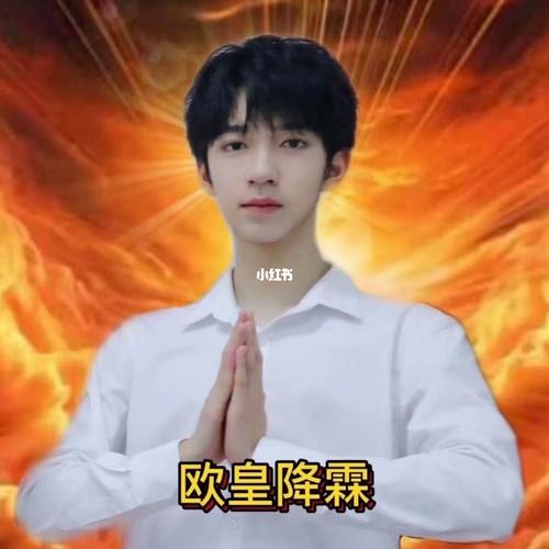 tnt时代少年团锦鲤表情包_时代少年团_表情包_时代少年团表情包_娱乐