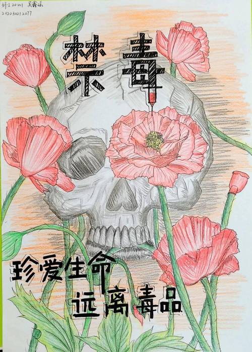 "珍爱生命,远离毒品"作品征集活动获奖名单