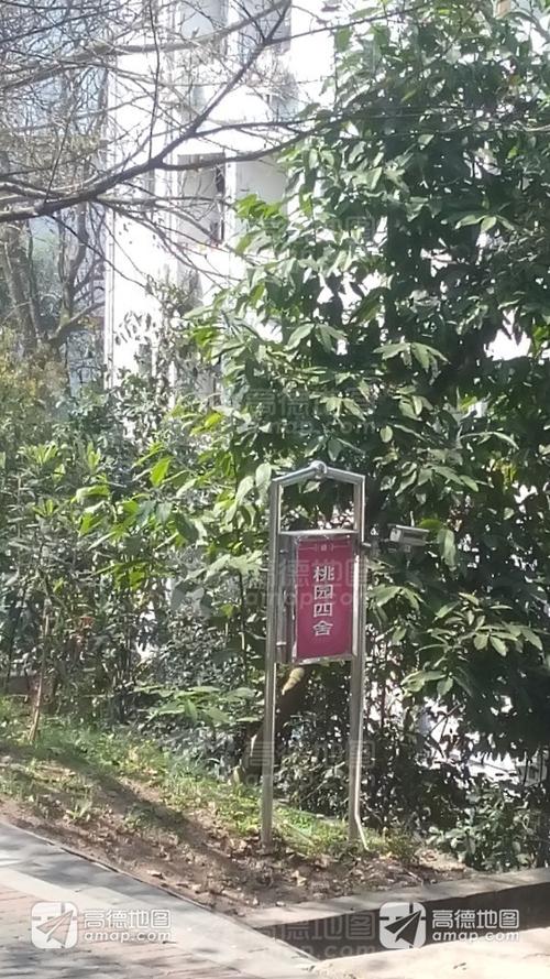 西南大学桃园4舍