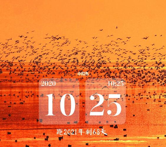 2021年自律100天 日期:2020年10月25日 身高:165cm_海鲜餐厅_夜宵