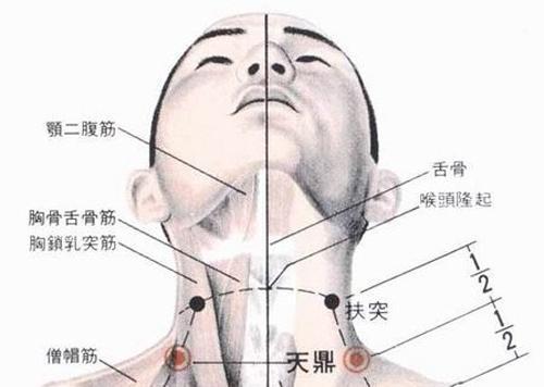 缺盆穴    位置:位于两侧锁骨的凹陷处,左右各一.