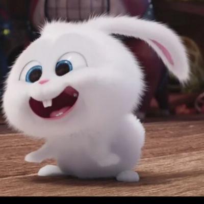 爱宠大机密兔子头像高清图 爱宠小白兔头像图片