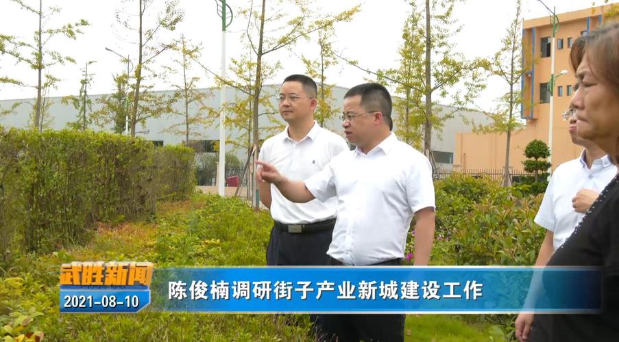 陈俊楠调研街子产业新城建设工作