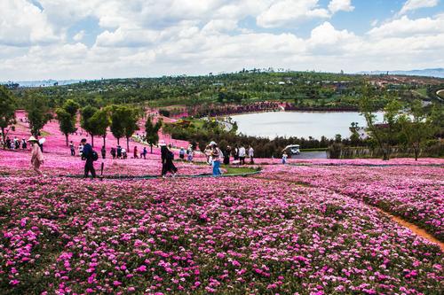 弥勒太平湖――2020.5.