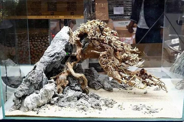 进口手工巴西沉木树鱼缸树森林水族箱水草造景莫斯树迎客松