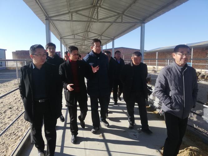 2019年12月11日,乌拉特后旗贾旗长,阿旗长一行莅临兴光公司观摩调研