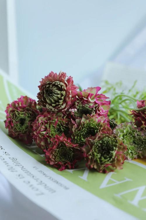 花锦鲤洋牡丹_洋牡丹_斗南花市攻略_鲜花_鲜花分享_家居家装_家居装饰