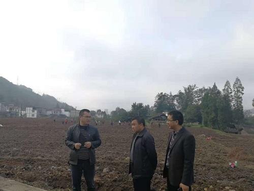 芦山县委副书记,县长周建华督导调研芦阳街道农业产业