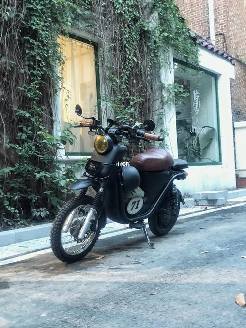 复古小牛改装_复古_东山口_电动车_东山口_宁静_小牛电动车_汽车_摩托