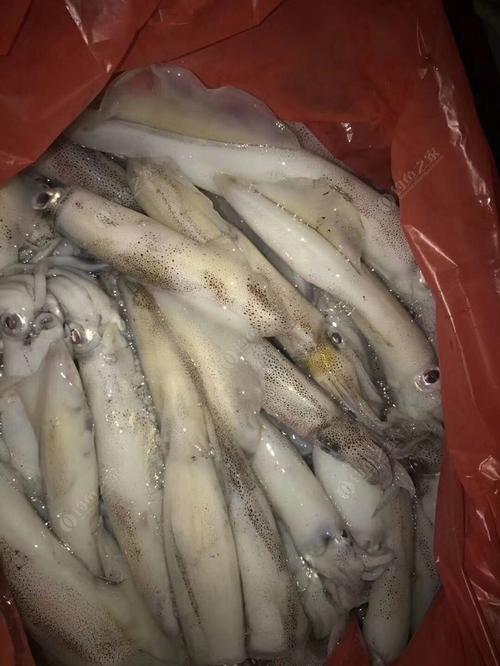 海钓吹筒仔拼船差3人